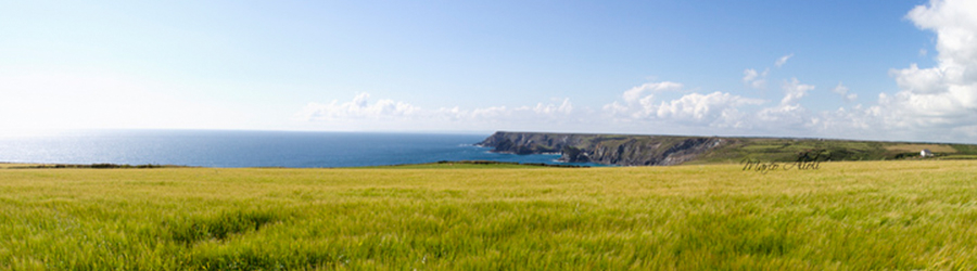 The Famous Cornwall Coastline from the top of the cliffs