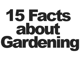15 facts about gardening