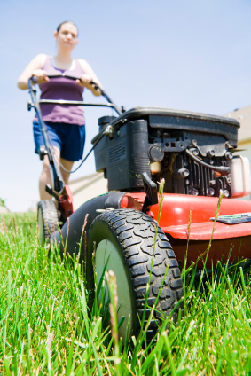 Choose the right lawnmower