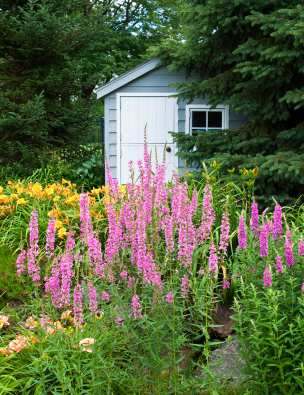 choosing the right garden shed