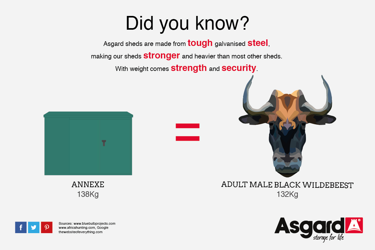 Annexe and Wildebeest weigh the same