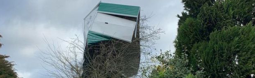Image shared by BBC - https://www.bbc.co.uk/news/uk-england-47516173 BBC image of shed in tree