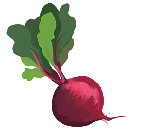 Beetroot