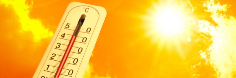 Beat the Heat In Your Shed