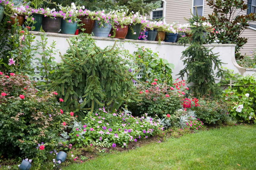 protect your garden from theft