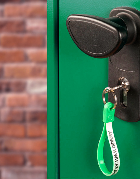 Pick and resistant locking system on Asgard sheds