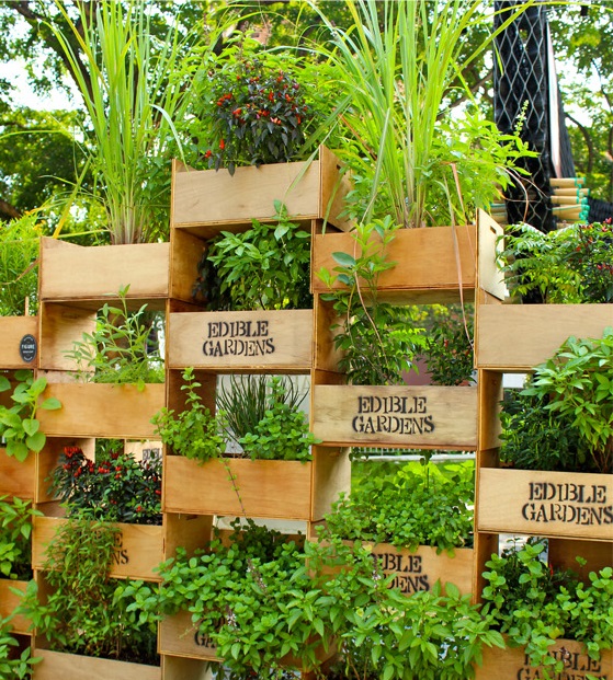 Vertical Garden