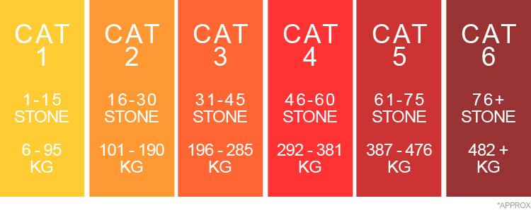 Weight Category Summary