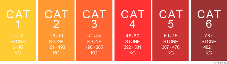 Weight Category Explanation Weight Category
