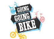 Going Going Bike Review Asgard High Security Bike Storage